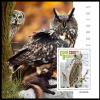 Colnect-5985-110-Northern-Long-eared-Owl-Asio-otus.jpg