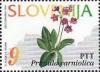 Colnect-681-672-Flowers-of-Slovenia-Primula-carniolica.jpg