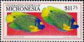 Colnect-5580-240-Yellow-faced-angelfish.jpg