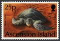 Colnect-853-303-Green-Sea-Turtle-Chelonia-mydas---Female-digs-the-Nest.jpg