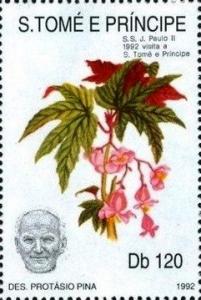 Colnect-5363-653-Pope-John-Paul-II-looking-straight-ahead-and-flower.jpg