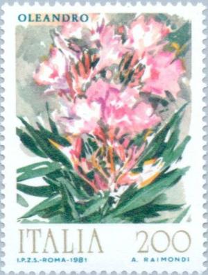 Colnect-175-062-Flowers--Oleander.jpg
