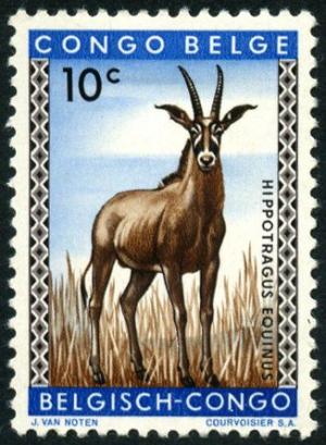 Colnect-4439-938-Roan-Antelope-Hippotragus-equinus.jpg