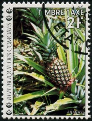 Colnect-990-268-Flowers-Pineapple.jpg