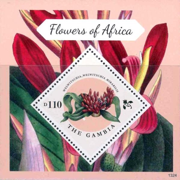Colnect-3531-943-Flowers-of-Africa.jpg