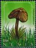 Colnect-5261-579-Psilocybe-guilartensis.jpg