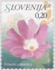 Colnect-2997-847-Flowers-of-Slovenia---Primula-carniolica.jpg