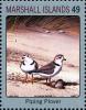 Colnect-5997-831-Piping-Plover-Charadrius-melodus.jpg