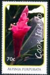 Colnect-4070-085-Alpinia-purpurata.jpg