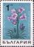 Colnect-3519-692-Alpine-Bellflower.jpg