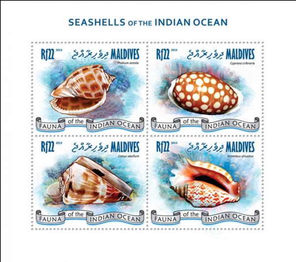 Colnect-4291-025-Seashells-of-the-Indian-Ocean.jpg