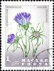 Colnect-5253-075-Grassy-Bells-Edraianthus-tenuifolius.jpg