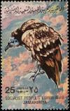 Colnect-1648-462-Egyptian-Vulture-Neophron-percnopterus.jpg