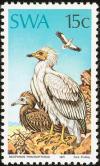 Colnect-2287-613-Egyptian-Vulture-Neophron-percnopterus.jpg