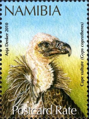 Colnect-3063-975-Cape-Vulture-Gyps-coprotheres.jpg