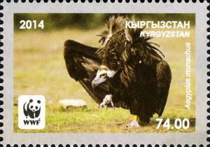 Colnect-3073-825-Black-Vulture-Aegypius-monachus.jpg