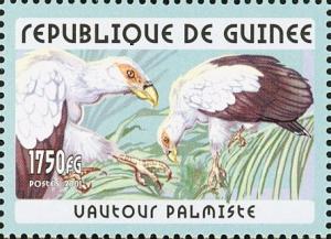 Colnect-3813-929-Palm-nut-Vulture-Gypohierax-angolensis.jpg