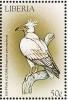 Colnect-1641-836-Egyptian-Vulture-Neophron-percnopterus.jpg