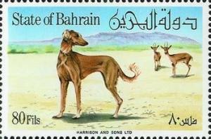 Colnect-1462-913-Saluki-Canis-lupus-familiaris-and-Gazelles.jpg