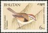 Colnect-1720-385-Rufous-winged-Fulvetta-nbsp-Alcippe-castaneceps.jpg