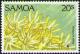 Colnect-3945-763-Alveopora-allingi.jpg