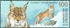 Colnect-5530-589-Turkestan-lynx-Lynx-lynx-isabellinus.jpg