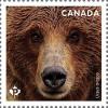 Colnect-5933-865-Grizzly-Bear-Ursus-Arctos.jpg