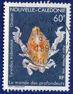 Colnect-1146-663-Crab-Lyreidius-tridentatus.jpg