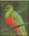 Colnect-3516-444-Quetzal-Pharomachrus-mocinno.jpg