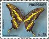Colnect-3735-676-Thoas-Swallowtail-Papilio-thoas-ssp-brasiliensis.jpg
