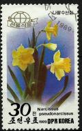 Colnect-2154-404-Wild-daffodil-Narcissus-pseudonarcissus.jpg