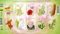 Colnect-1389-951-Commercial-and-medicinal-plants--.jpg