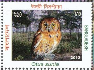 Colnect-1719-973-Oriental-Scops-Owl-Otus-sunia.jpg