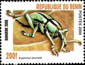 Colnect-5872-605-Weevil-Euphorus-bernardtii.jpg