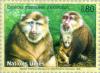 Colnect-138-613-Tibetean-Macaque-Macaca-thibetana.jpg