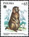 Colnect-1960-347-Alpine-Marmot-Marmota-marmota.jpg