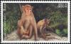 Colnect-2688-884-Rhesus-Macaque-Macaca-mulatta.jpg