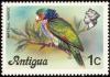 Colnect-897-150-Imperial-Amazon-Amazona-imperialis.jpg