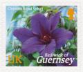 Colnect-3972-596-Clematis-Royal-Velvet.jpg