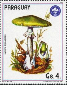 Colnect-2063-999-Amanita-phalloides.jpg