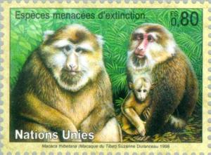 Colnect-138-613-Tibetean-Macaque-Macaca-thibetana.jpg