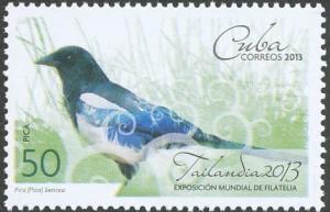 Colnect-3450-141-Oriental-Magpie-Pica-pica-sericea.jpg