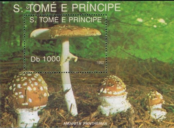 Colnect-4477-384-Amanita-pantherina.jpg