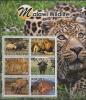 Colnect-5795-655-Malawi-Wildlife.jpg