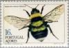 Colnect-186-036-Large-Garden-Bumblebee-Megabombus-ruderatus-.jpg