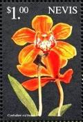 Colnect-4411-220-Cymbidium-Red-beauty.jpg