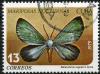 Colnect-1393-912-Moth-Melanchroia-regnatrix.jpg