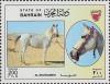 Colnect-1805-983--quot-Al-Shuwaimeh-quot--Equus-ferus-caballus.jpg
