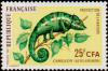 Colnect-872-873-Panther-Chameleon-Chamaeleo-pardalis.jpg