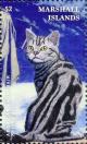 Colnect-6220-585-American-Shorthair.jpg